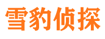 东辽侦探公司